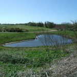 Photo of a pond at Marshside Golf Course