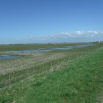 Photo of the view across Marshside Moss