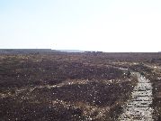 path to redmond's edge