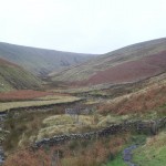 Valley between the giants