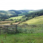 Photo of a view from Stang Top Moor