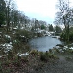 Photo of the ale at Japanese Gardens