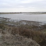 Marshside....Marsh