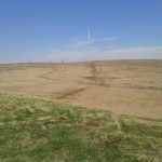 The wide and spongy western path to Winter Hill.