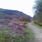Stronstrey Bank - or Grain Pole Hill...or Hurst Hill, definition really needed here