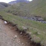 03 2013-06-01 11.01.07